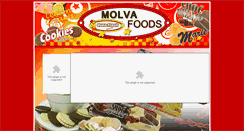 Desktop Screenshot of molvafoods.co.za